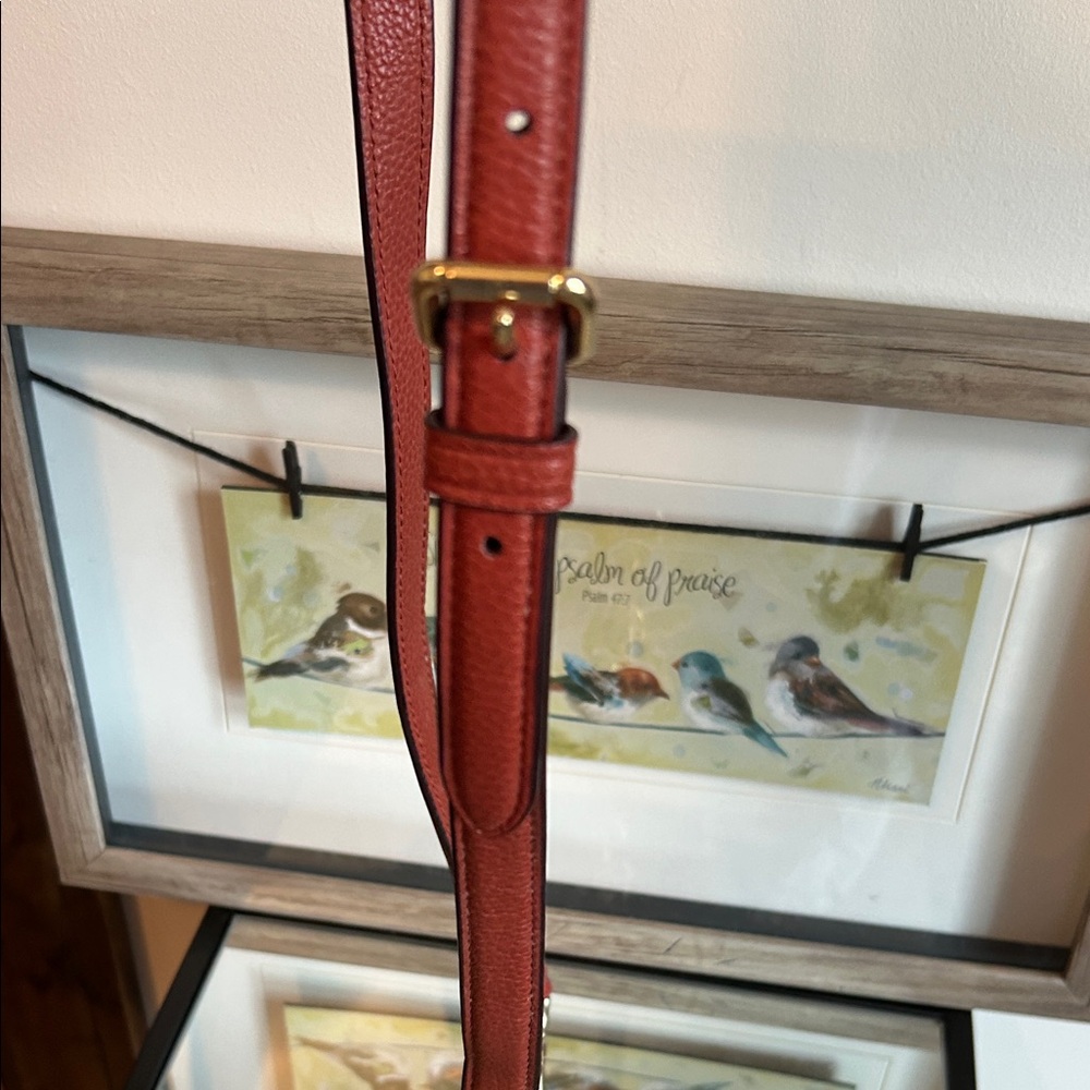 Coach Rust colored crossbody strap with Gold Hardware - Picture 7 of 13